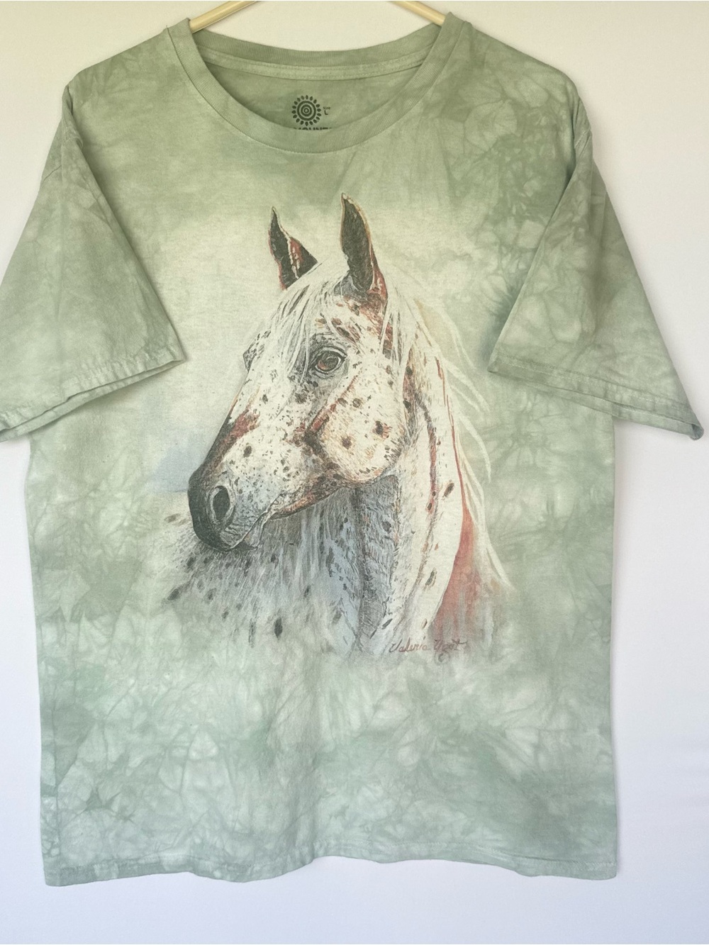 The Mountain Made in USA Paint Horse Graphic Tee in Sage Green Tye Dye Cotton L
